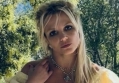 Britney Spears' Hotel Outburst With Boyfriend Prompts Police and Paramedic Calls