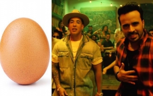 Viral Egg Photo Dethrones 'Despacito' Music Video as Most-Liked Internet Post of All Time