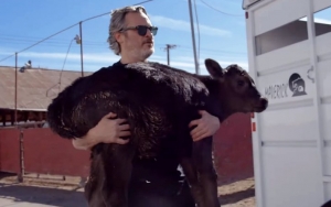 Watch Joaquin Phoenix Spar With Slaughterhouse CEO to Rescue a Cow and Her Calf