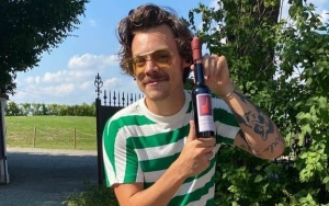 Harry Styles Proudly Shows Off His New 'Mario Moustache' 