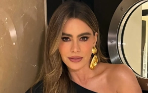 Sofia Vergara Savagely Claps Back at Interviewer Making Fun of Her English Accent
