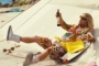 Matthew McConaughey Parties Hard and Gets High in New 'The Beach Bum' Trailer