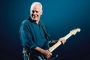 David Gilmour's Guitar Collection Makes Auction History With Sales of $21.5M