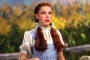 Judy Garland's 'Wizard of Oz' Dress Gets Proper Preservation After Being Found in Trash Bag