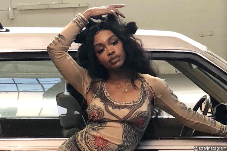 SZA Pulled From Tour Due to Vocal Cord Issues