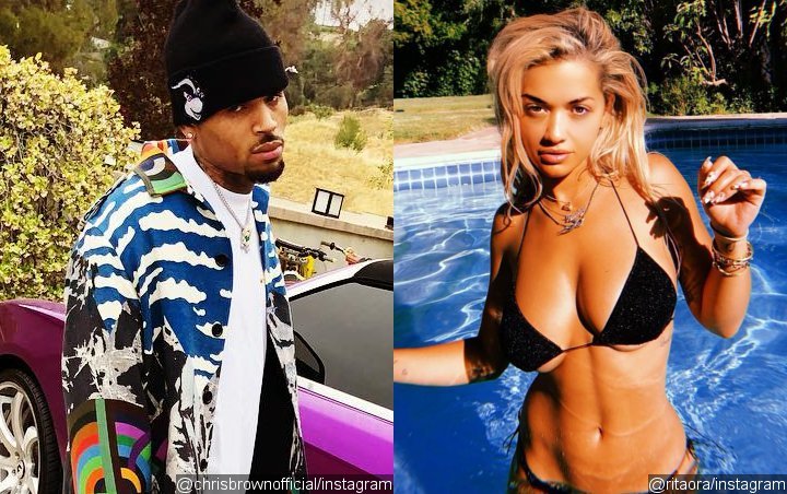 Chris Brown Leaves Flirty Comment on Rita Ora's Bikini Pic