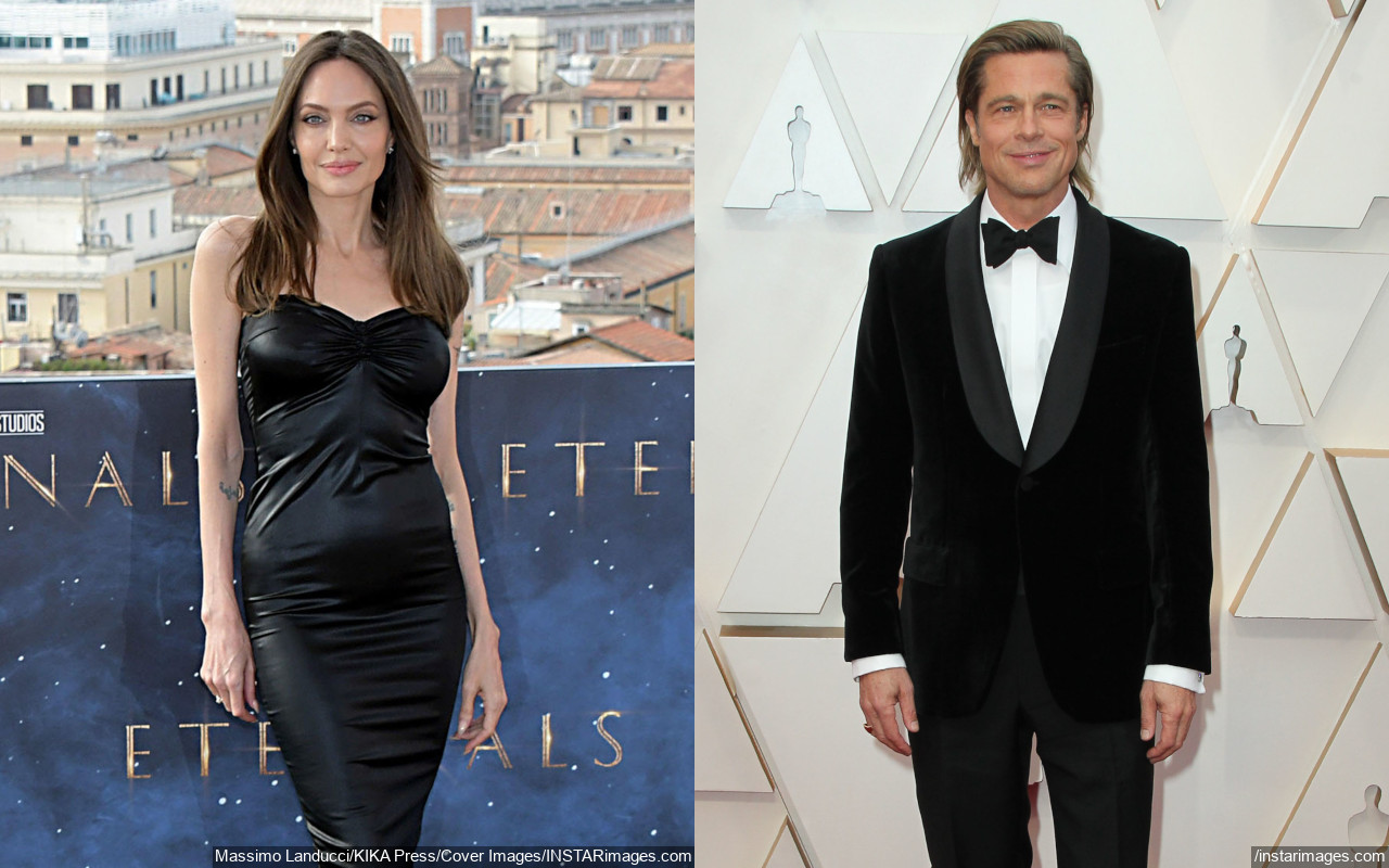 Angelina Jolie Reportedly Suing FBI for Not Pressing Charges Against Brad Pitt for Jet Fight