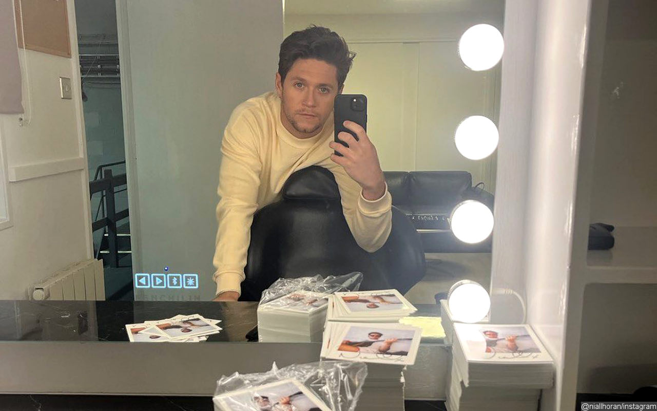 Niall Horan Thinks It's Not Normal to Get Used to His Worldwide Fame