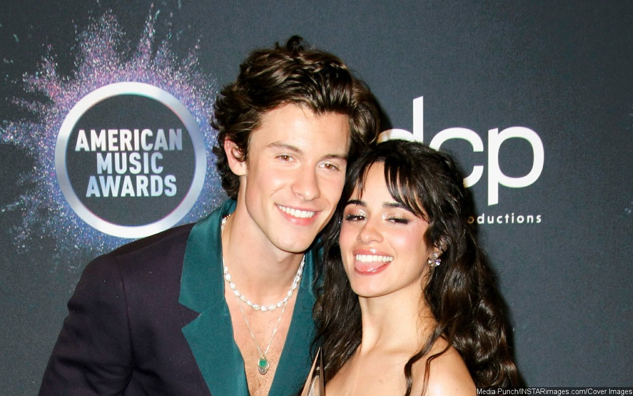 Shawn Mendes and Camila Cabello Twinning During Day Out Amid Reconciliation Rumor