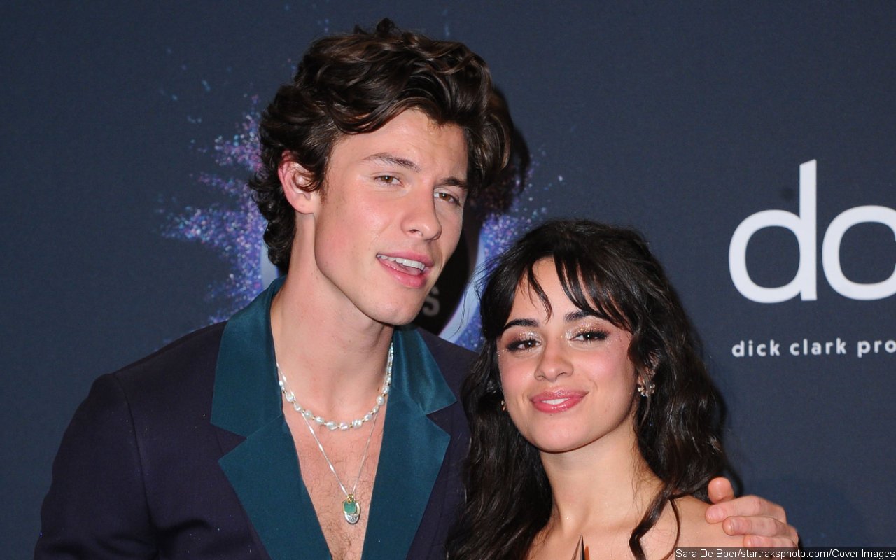Shawn Mendes and Camila Cabello's Reconciliation Doesn't Work Because 'Timing Isn't Right'