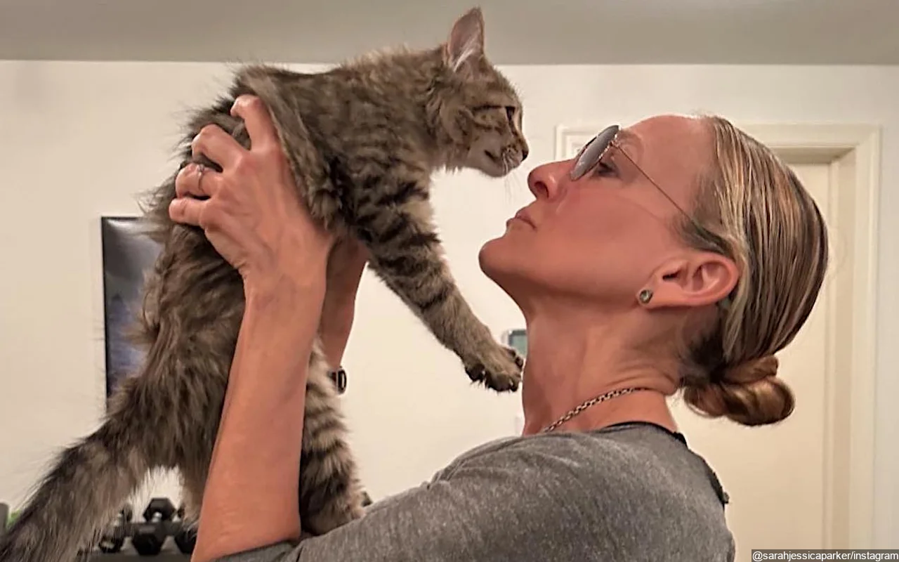 Sarah Jessica Parker Adopts Carrie Bradshaw's 'And Just Like That...' Cat