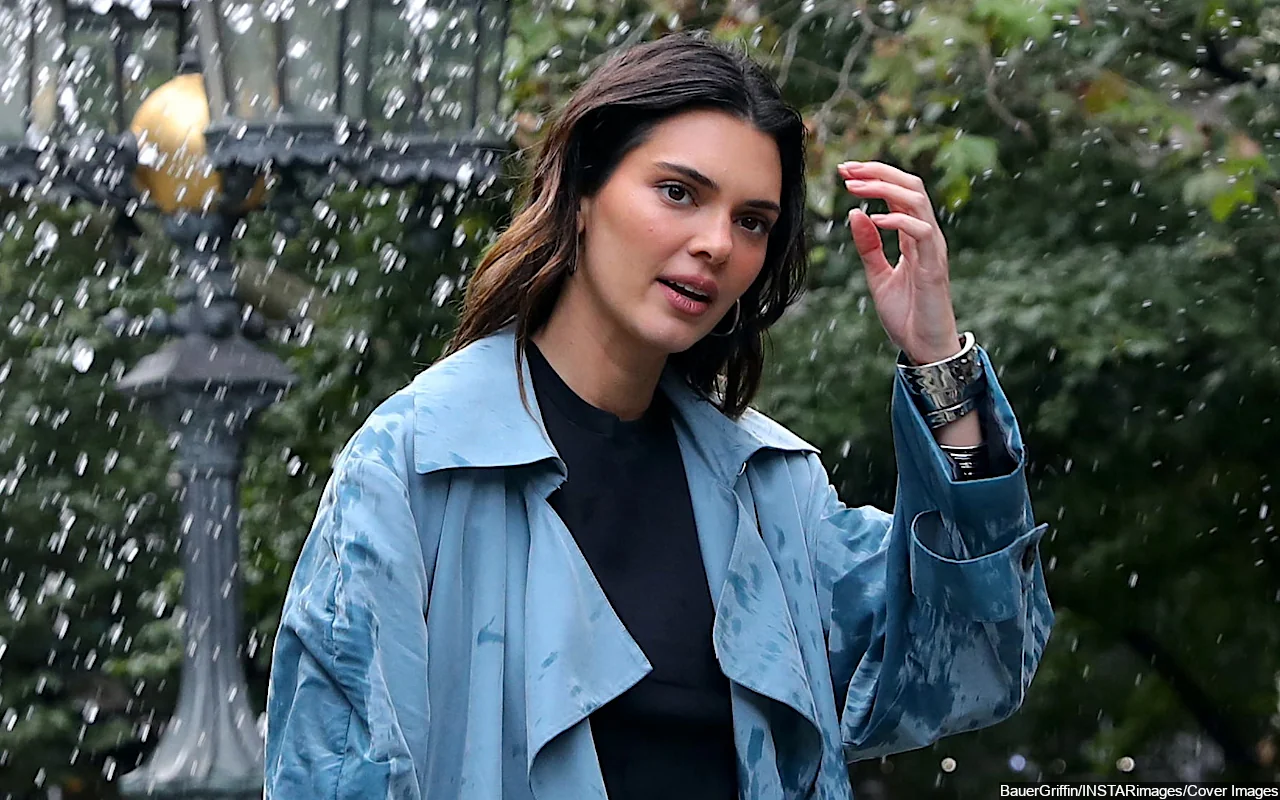 Kendall Jenner Sends Fans Into Frenzy With Apparent Baby Bump in New Pic
