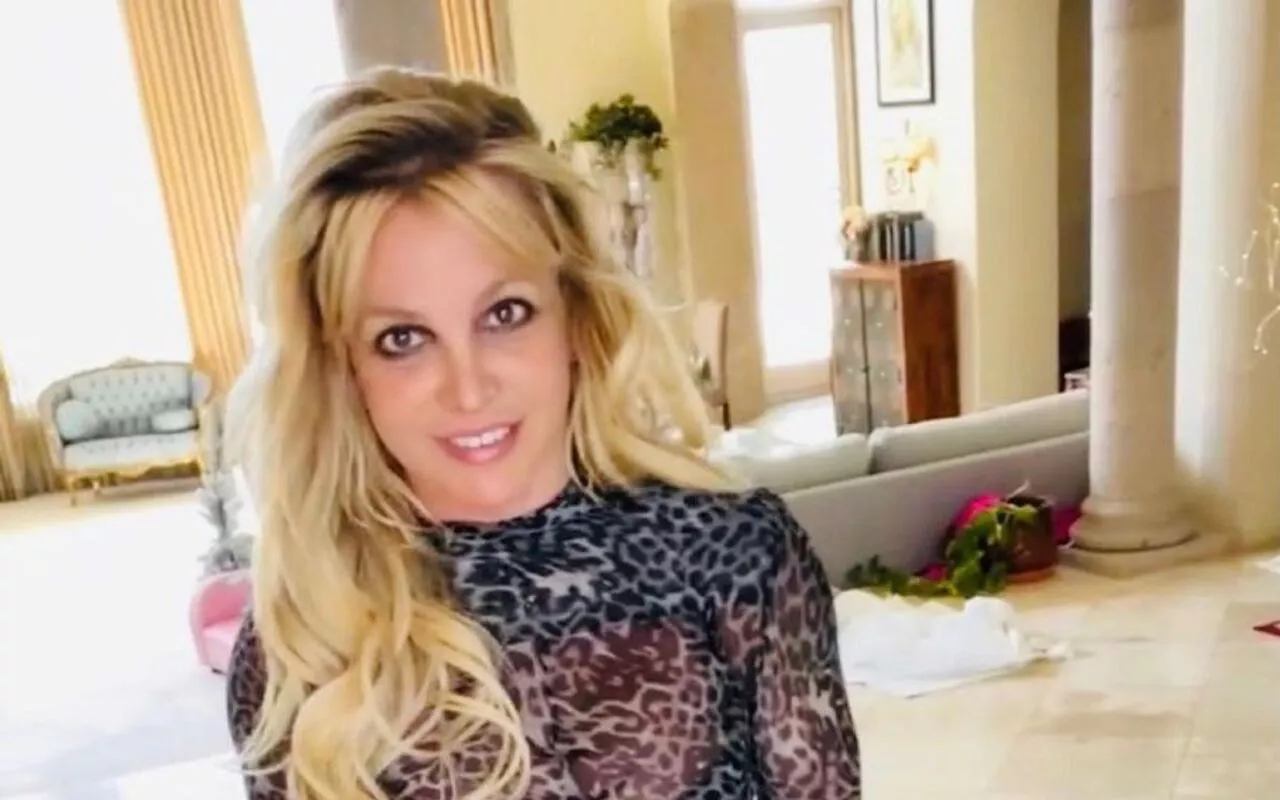 Britney Spears Calls Off Birthday Party to Take Her Dog to the Vet