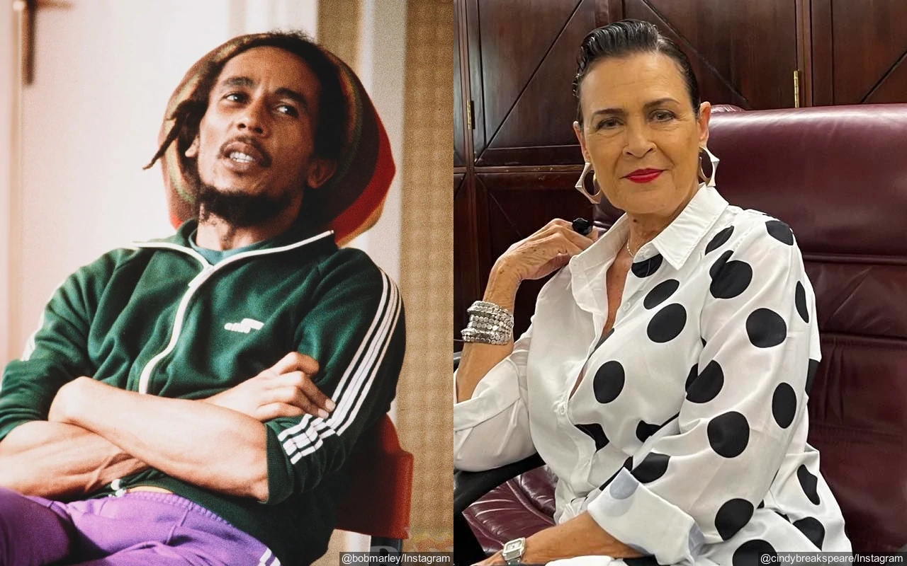 Bob Marley's BM Cindy Breakspeare Slammed Over 'Disrespectful' Birthday Post