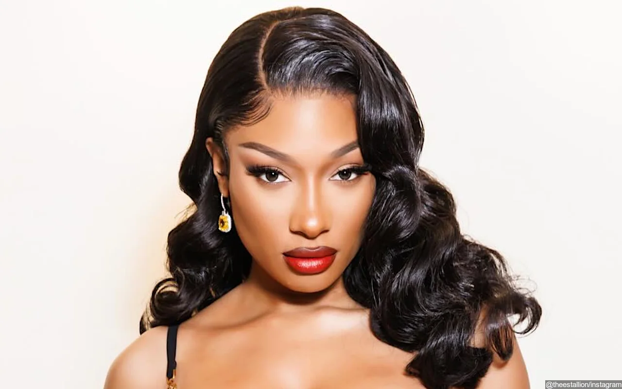 Megan Thee Stallion Shuts Down Ex-Cameraman's 'Salacious Accusations' of Sexual Harassment