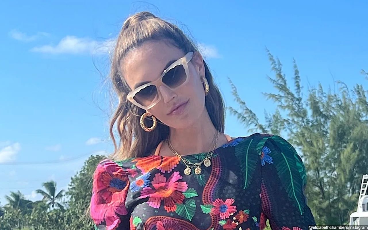 Elizabeth Chambers Shares If She's Planning to Do Reality TV Show 