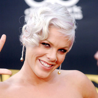 Pink in 2008 American Music Awards - Arrivals