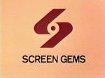 Screen Gems Making Flick with Maxim