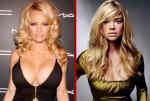 Playboy Offers Pamela Anderson and Denise Richards $1M to Pose Nude