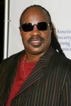 Stevie Wonder Wants a Country Cover of His Hit