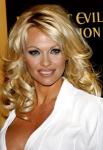 Pamela Anderson to Make a Cameo on 'Kath and Kim'