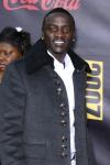Akon Pleads Guilty to Fan-Tossing Incident