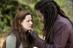 'New Moon' Secret and Details Included in New 'Twilight' Special-Edition