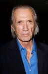Forensics Expert Concludes David Carradine Didn't Commit Suicide