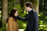 Robert Pattinson's Edward Appears as Hallucination in 'New Moon'