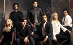 'Heroes' in the Bubble, Ali Larter Thinks Otherwise