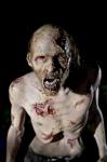 'Walking Dead' Season 1 Finale Sneak Peek: TS-19
