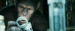 New Trailer From 'Rise of the Planet of the Apes' Reveals Caesar's Evolution