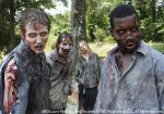 'The Walking Dead' to Bring Actions Into the Woods