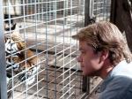 Matt Damon Gets Face-to-Face With Tiger in New 'We Bought a Zoo' Still