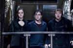 All 'Harry Potter' DVDs to Be Pulled From Stores in Late December