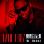 Taio Cruz Recalls His Wild Party in 'Hangover' Video Ft. Flo Rida