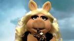 'The Muppets' Spoofs 'Pretty Little Liars' in New Viral Videos