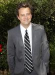 Matthew Perry to Play Lawyer on 'The Good Wife'