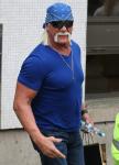 Hulk Hogan Weighs In on Sex Tape Partner: I'm Horrible With Remembering Names