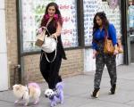Snooki and JWoww Facing Criticisms Over Dyed Dogs