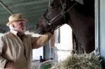Third Horse's Death Forces HBO's 'Luck' to Suspend Production With the Animals