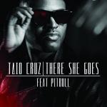 Video Premiere: Taio Cruz's 'There She Goes'