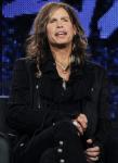 Steven Tyler Quits 'American Idol' to Focus on Aerosmith