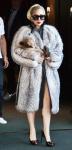 Lady GaGa Defends Kim Kardashian Over Fur Backlash