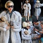 Lady GaGa Confuses PETA With 'Turncoat' Message