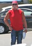 Hulk Hogan Takes Sex Tape Leak Case to FBI