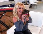 Britney Spears Shows Off Her Adorable New Puppy
