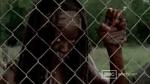 'The Walking Dead' 3.07 Sneak Peeks: Michonne Joins Rick and His Group