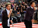 One Direction's Louis Tomlinson and Niall Horan Pulled Over by Cops