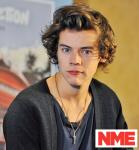 Fans Defend Harry Styles After He's Nominated for NME's Villain of the Year